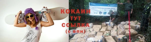 гидропоника Каменск-Шахтинский