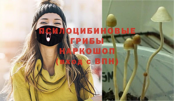 таблы Каменка