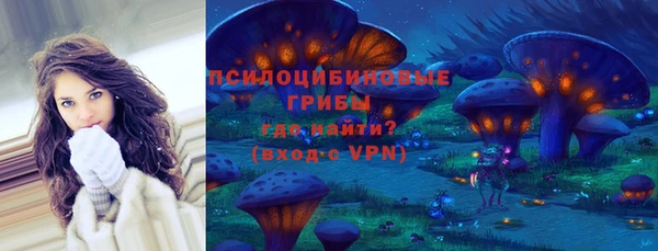 метадон Каменногорск