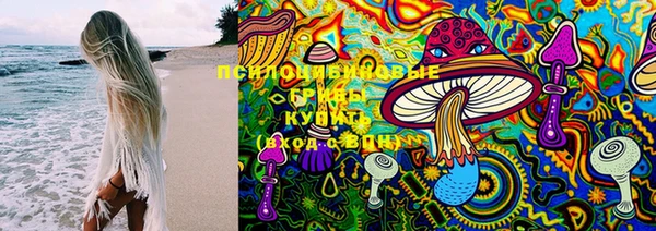таблы Каменка